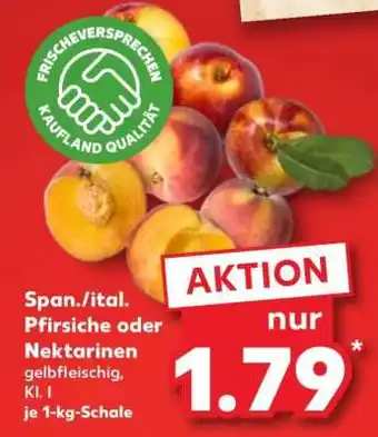 Kaufland Span./ital. Pfirsiche oder Nektarinen Angebot