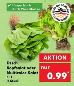 Kaufland Dtsch. Kopfsalat oder Multicolor-Salat Angebot