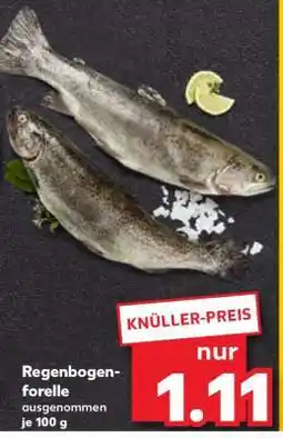 Kaufland Regenbogenforelle Angebot