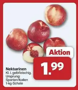 Famila Nord Ost Nektarinen Angebot