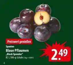 Famila Nord Ost Blaue Pflaumen 'Black Spendor' Angebot