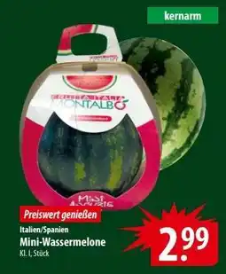 Famila Nord Ost Mini- Wassermelone Angebot