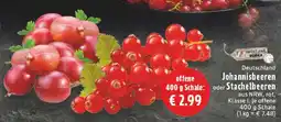 Edeka Johannisbeeren oder Stachelbeeren Angebot