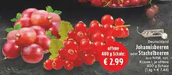 Edeka Johannisbeeren oder Stachelbeeren Angebot