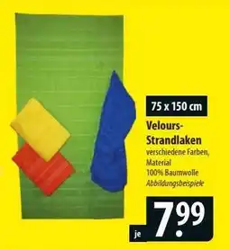 Famila Nord Ost Velours-Strandlaken Angebot