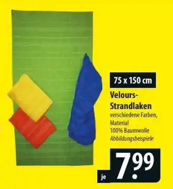 Famila Nord Ost Velours-Strandlaken Angebot