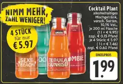 Edeka Cocktail Plant Angebot