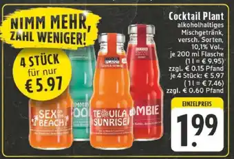 Edeka Cocktail Plant Angebot