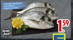 Edeka Frische Dorade Royal Angebot