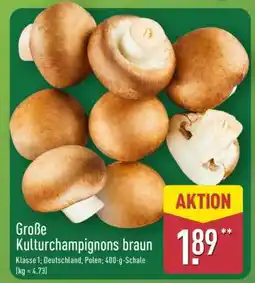 Aldi Nord Große Kulturchampignons braun Angebot