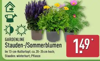 Aldi Nord GARDENLINE Stauden/Sommerblumen Angebot