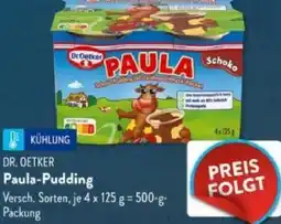 Aldi Süd DR. OETKER Paula-Pudding Angebot