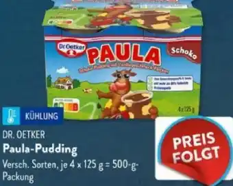 Aldi Süd DR. OETKER Paula-Pudding Angebot