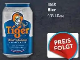 Aldi Süd TIGER Bier Angebot
