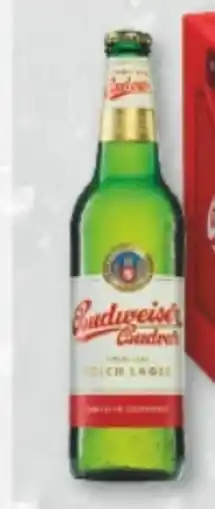 trinkgut Budweiser Budvar (CZ) Czech Premium Lager Angebot