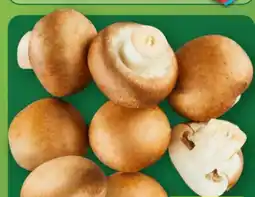Aldi Nord Kulturchampignons Angebot