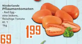 Klaas und Kock Niederlande Pflaumentomaten 1kg Angebot