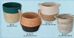 Aldi Nord Home Creation Seegraskörbe Angebot