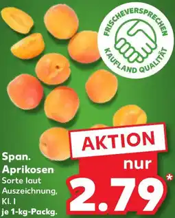 Kaufland Span. Aprikosen Angebot