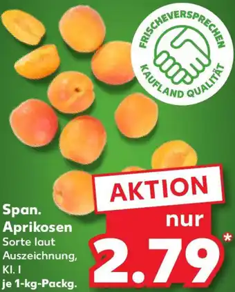 Kaufland Span. Aprikosen Angebot