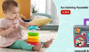 Hartfelder Spielzeug Eco Farbing Pyramide Angebot