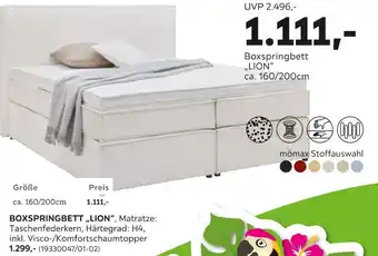 Mömax Boxspringbett lion Angebot