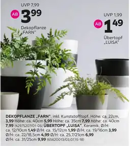 Mömax Dekopflanze „farn“ Angebot