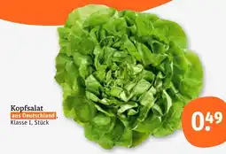 tegut Kopfsalat Angebot