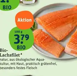 tegut Bio-lachsfilet Angebot