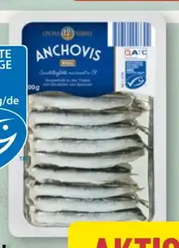 Aldi Nord Cucina Nobile Anchovis Angebot