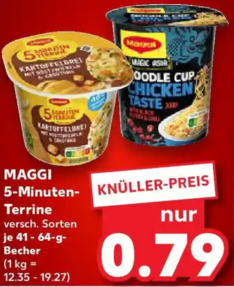Kaufland MAGGI 5-Minuten Terrine Angebot