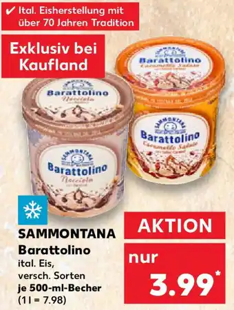 Kaufland SAMMONTANA Barattolino Angebot