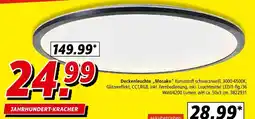Segmüller Deckenleuchte „mosako“ Angebot