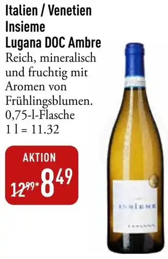 Galeria Markthalle Italien / Venetien Insieme Lugana DOC Ambre Angebot