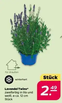 NETTO Lavendel Twins Angebot