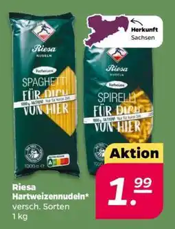 NETTO RIESA Hartweizennudeln Angebot