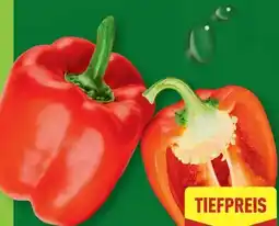 Aldi Nord Paprika Rot Angebot