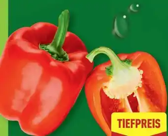 Aldi Nord Paprika Rot Angebot