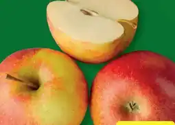 Aldi Nord Tafelapfel Angebot