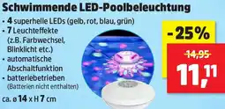 Thomas Philipps Schwimmende LED-Poolbeleuchtung Angebot
