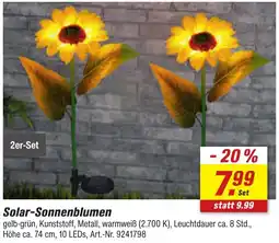 toom Baumarkt Solar-Sonnenblumen Angebot