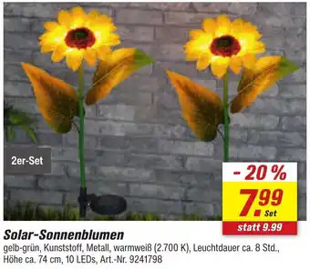 toom Baumarkt Solar-Sonnenblumen Angebot
