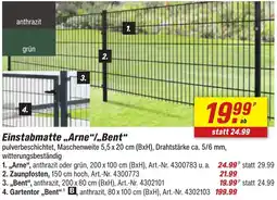 toom Baumarkt Einstabmatte „Arne"/Bent Angebot