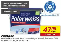 toom Baumarkt SCHÖNER WOHNEN Polarweiss Angebot
