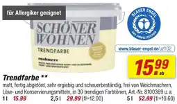toom Baumarkt SCHÖNER WOHNEN Trendfarbe Angebot