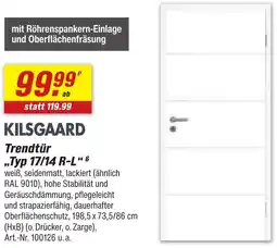 toom Baumarkt KILSGAARD Trendtür „Typ 17/14 R-L" Angebot