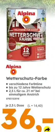 Globus Baumarkt Alpina wetterschutz-farbe Angebot
