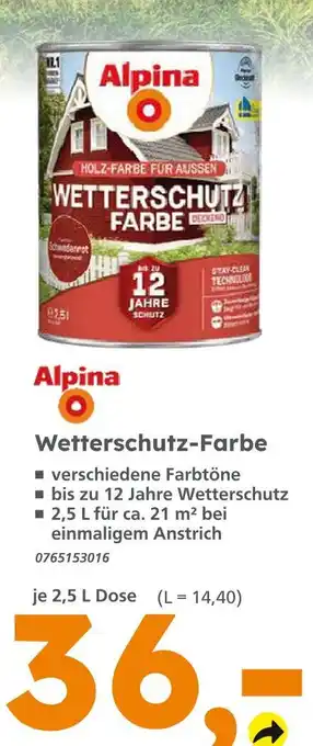 Globus Baumarkt Alpina wetterschutz-farbe Angebot