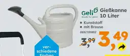 Globus Baumarkt Geli gießkanne Angebot