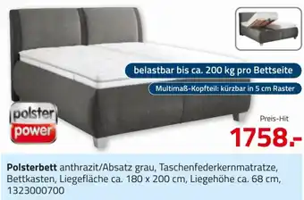 ROLLER Polsterbett Angebot